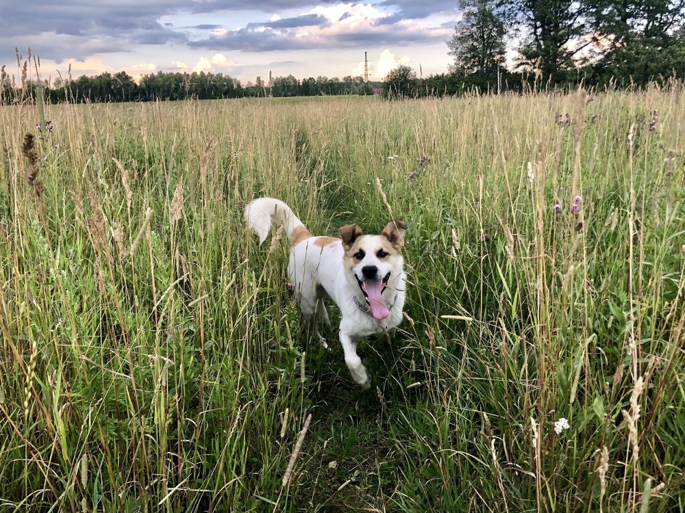 Photograph by Ольга Ильина