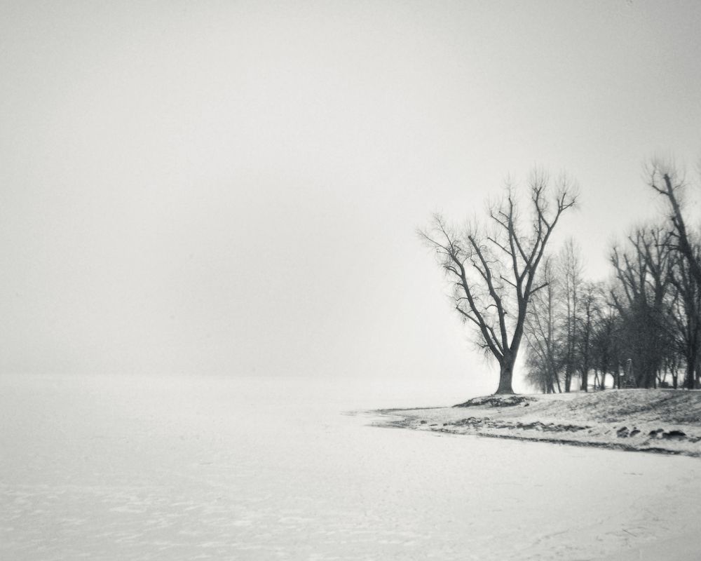 Photograph by Aliaksei Shandalin