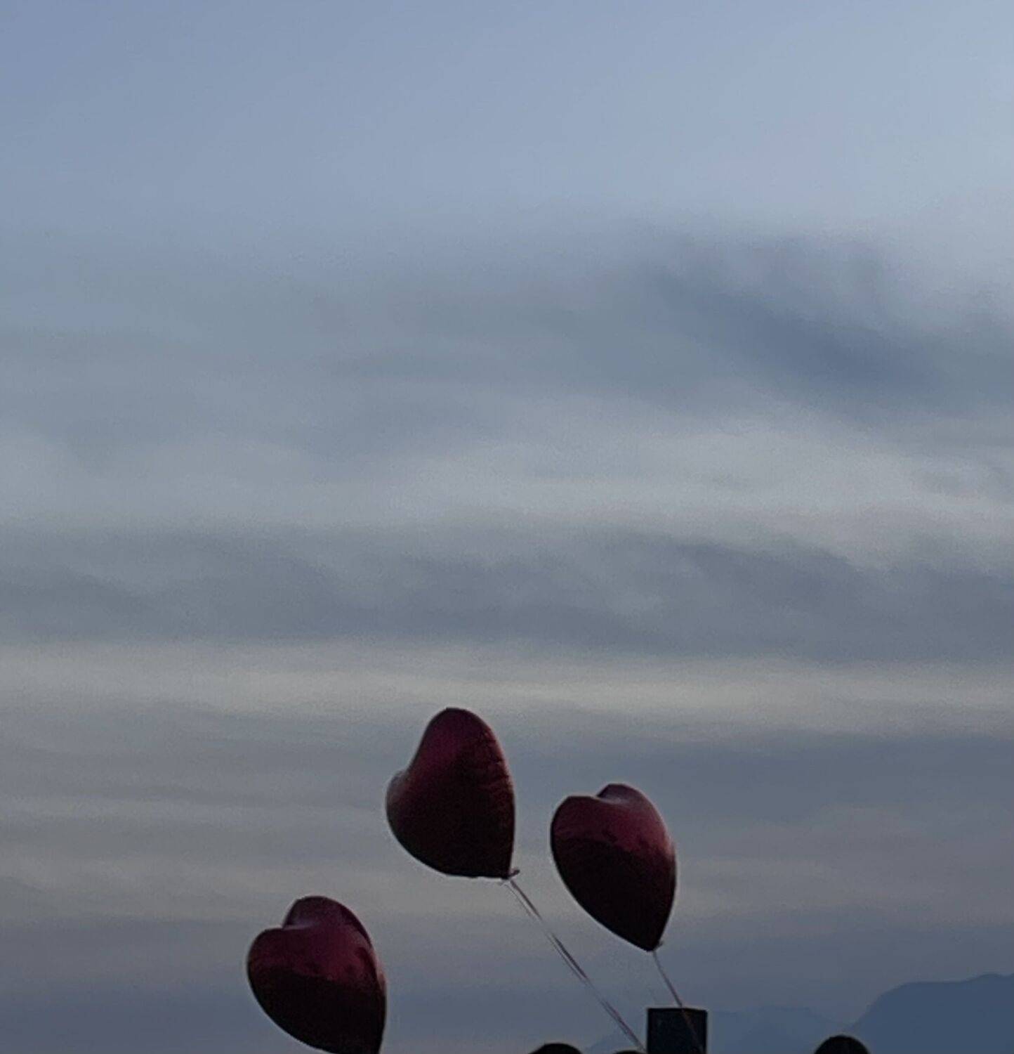 Photo #11731782
