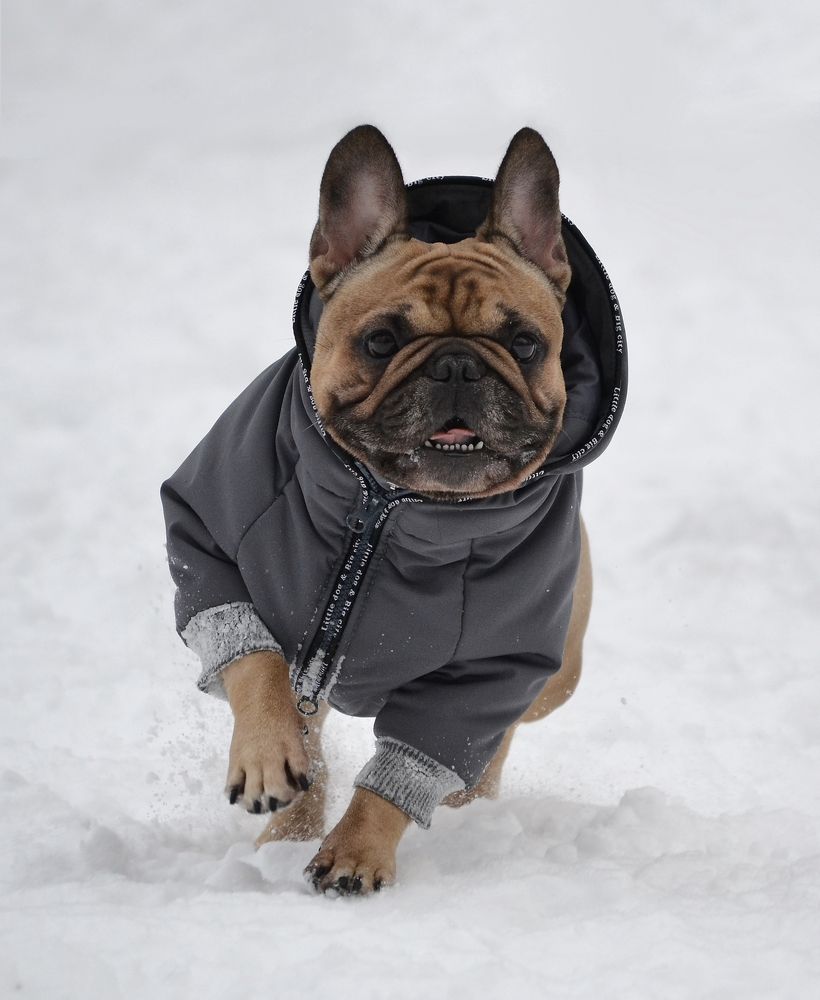 Фотография автора Василиса Пушкарева