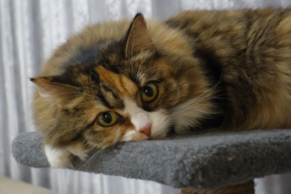 Photograph by Сергей Гребенников