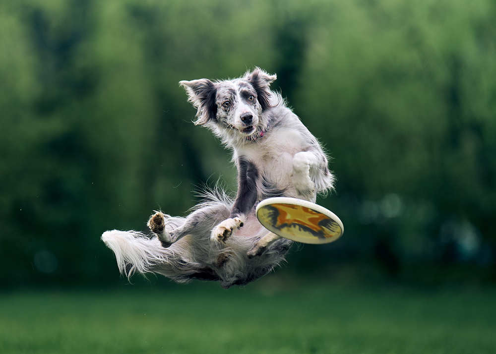 Photograph by Mikhail Khmelevskiy