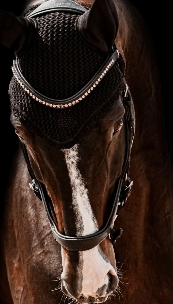 Photograph by Марина