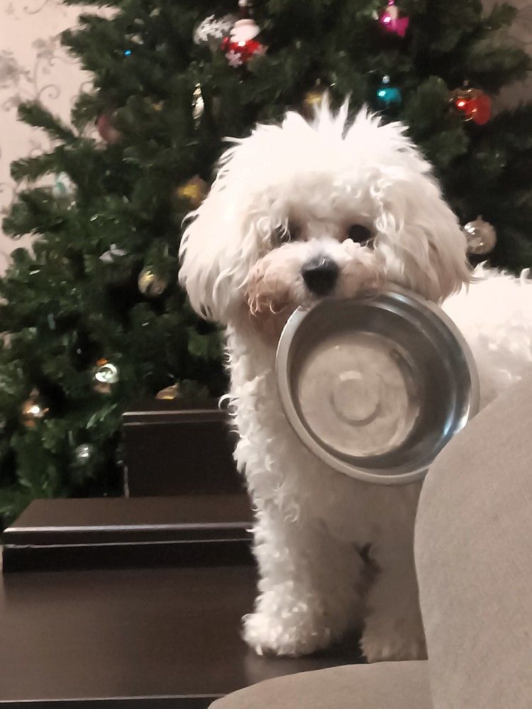 Photograph by Nikita Zorin