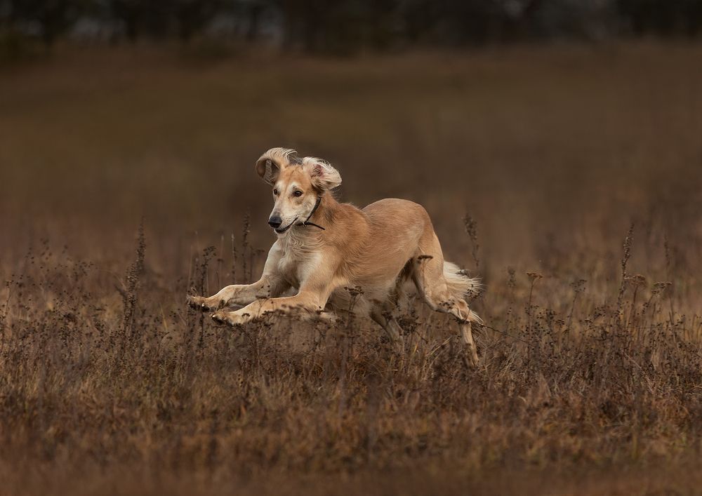 Photograph by Марина