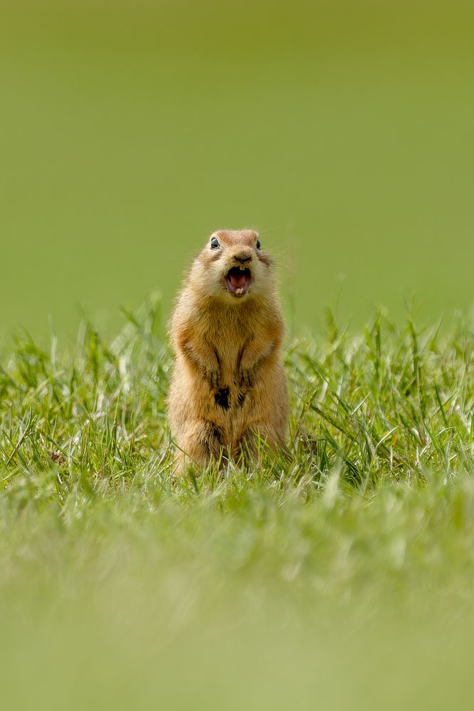 Photograph by Ирина Петрова