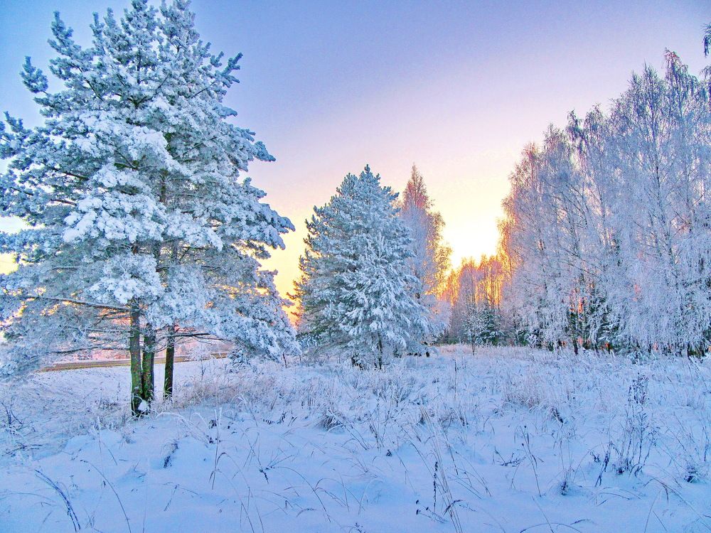 Photograph by Виталий Симоненков