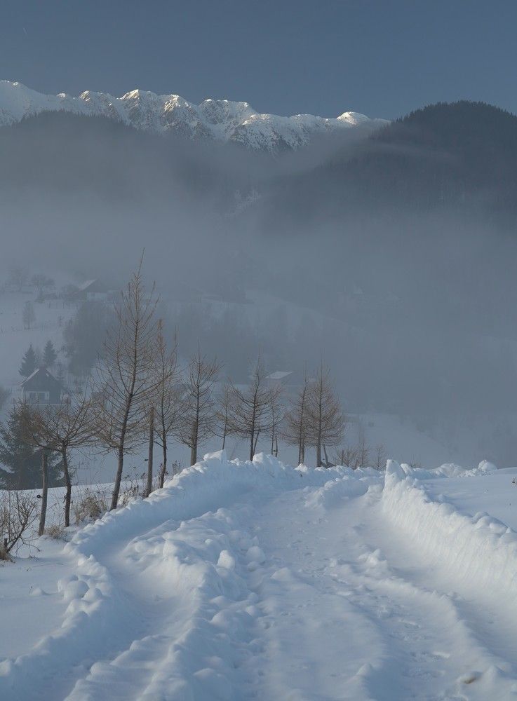 Photograph by Cristian Serban