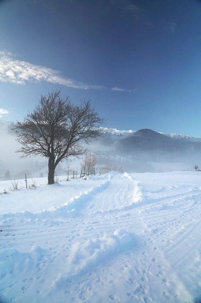 Photograph by Cristian Serban