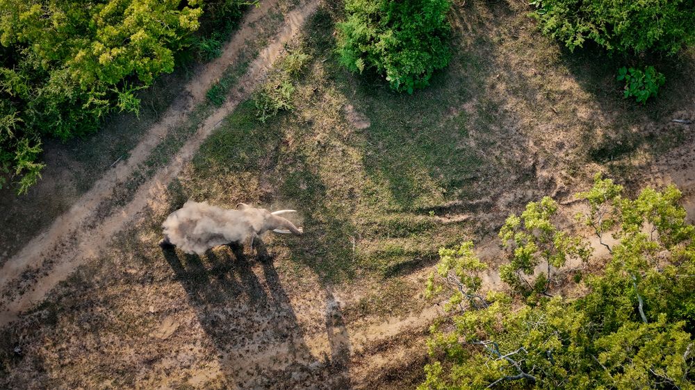 Photograph by dulanjan saranga