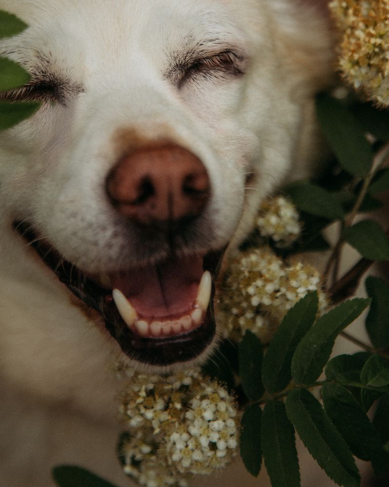 Photograph by Люда Солдатченкова