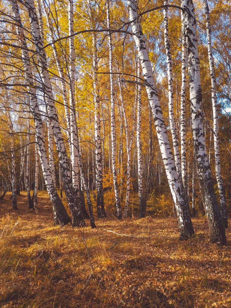 Photograph by Romanov Denis