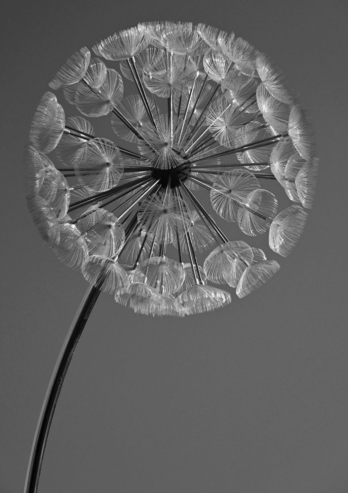 Photograph by Антонина Ахмадеева