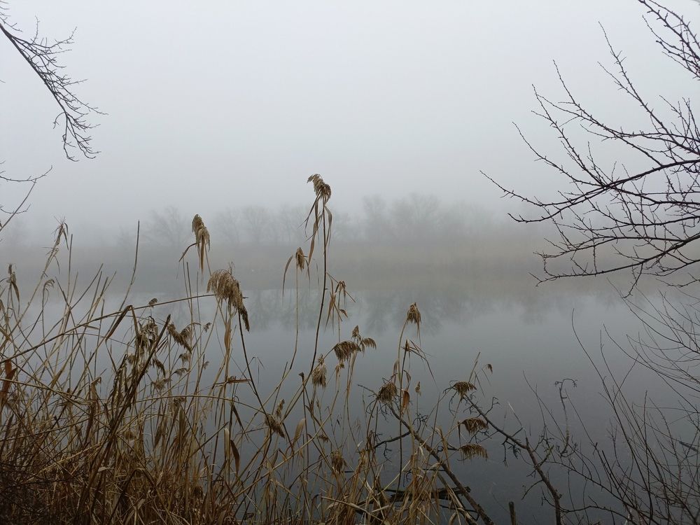 Photograph by Александр Казачек