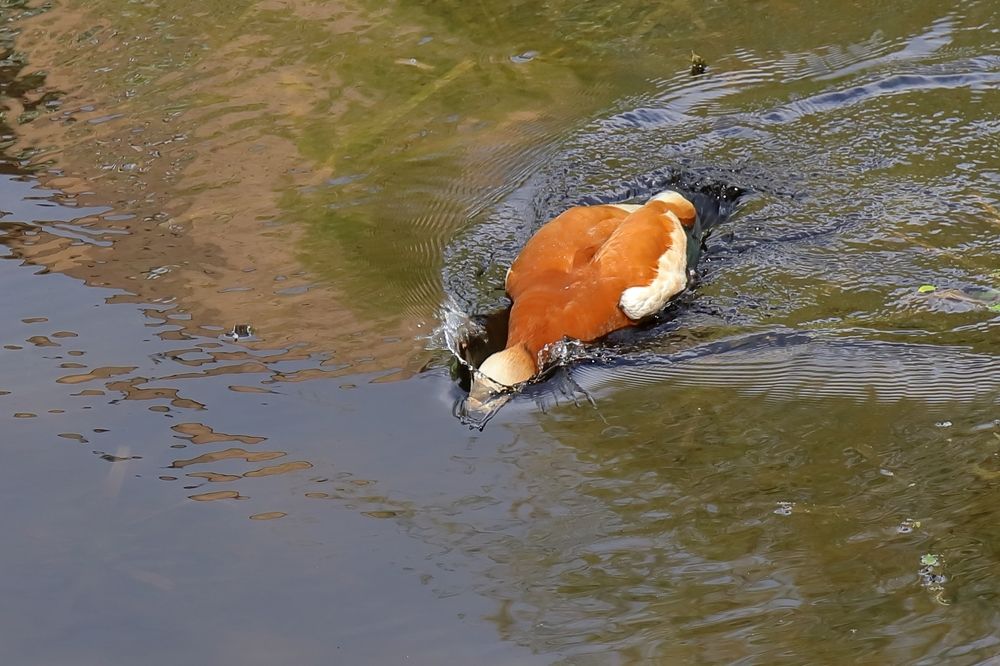 Photograph by DUBINA LEONID