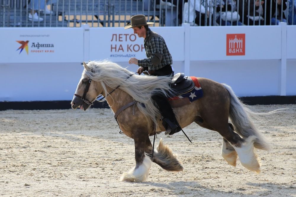 Photograph by DUBINA LEONID