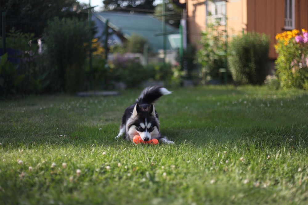 Photograph by Ирина Тушева