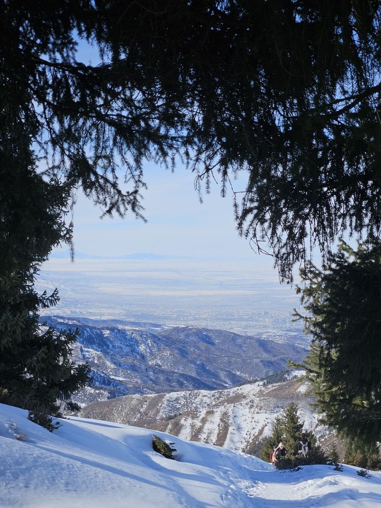 Photograph by Эльвира