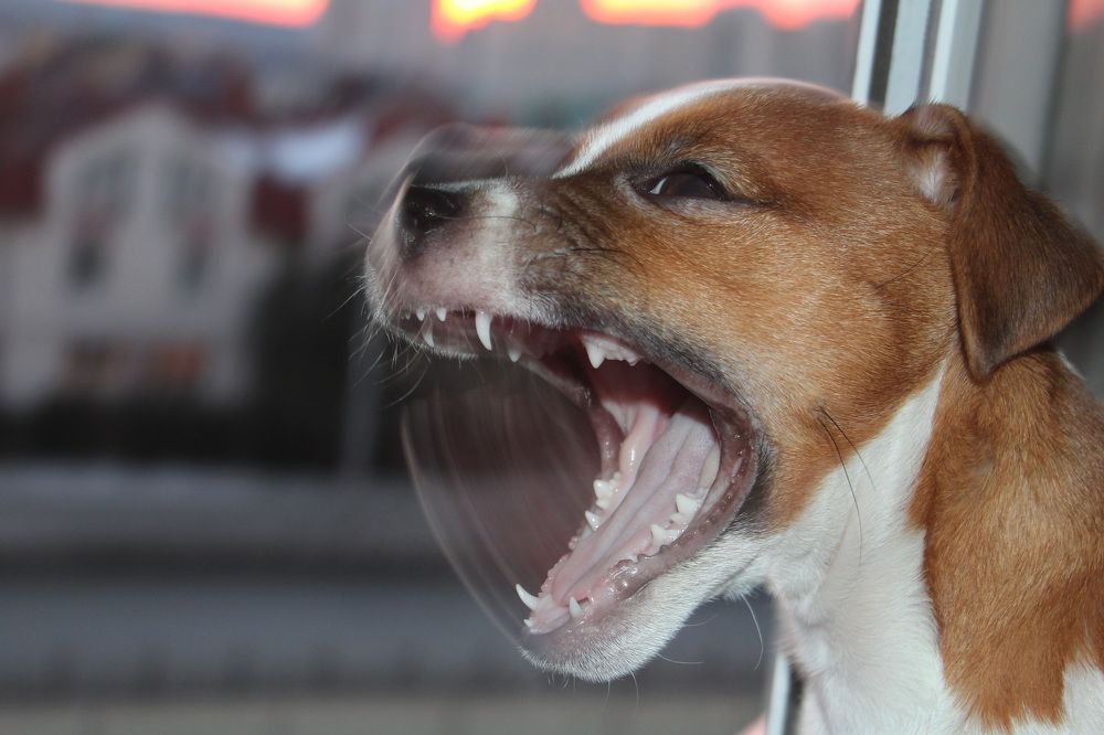 Photograph by Владимир Перетягин