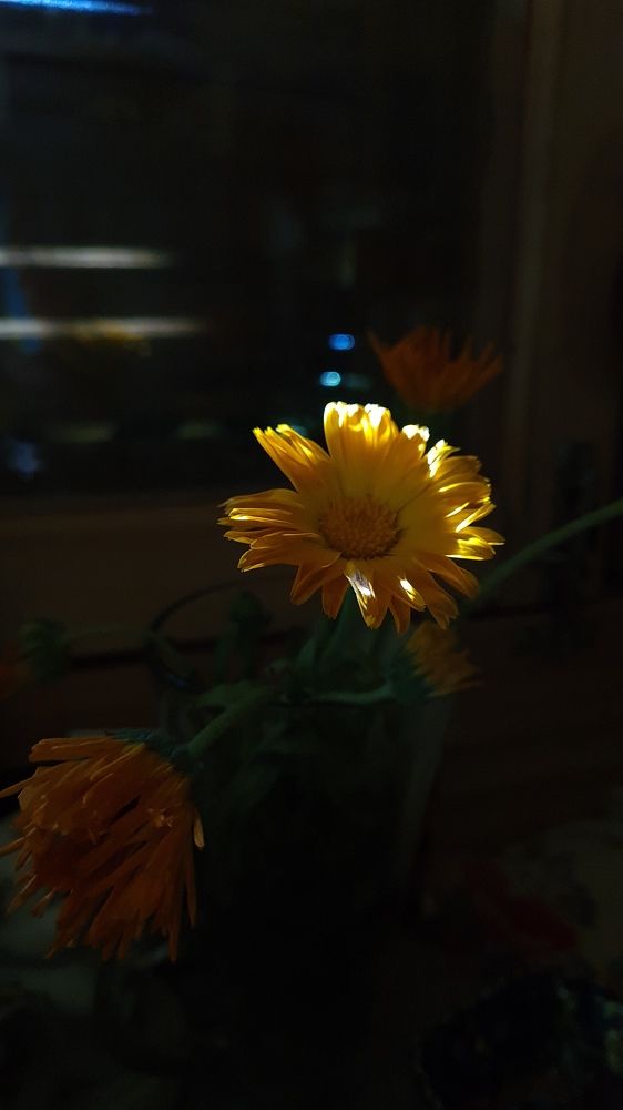 Photograph by Ирина Иванникова