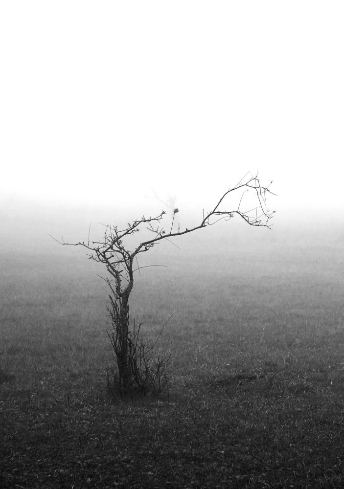 Photograph by Антонина Ахмадеева