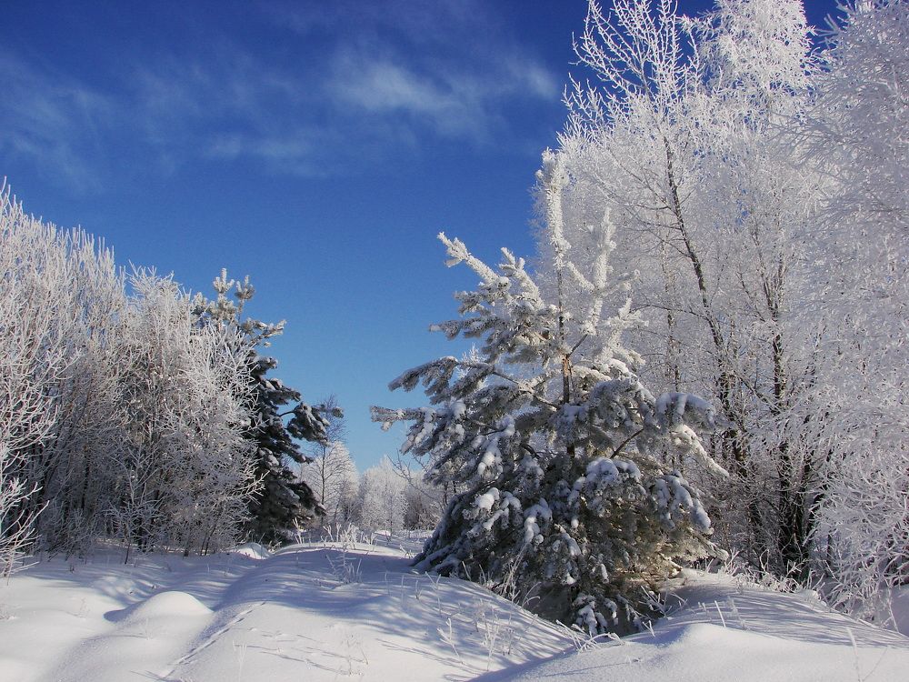 Photograph by Владимир Кирсанов