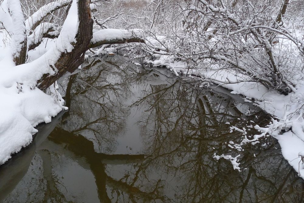 Photograph by Харис Шахмаметьев