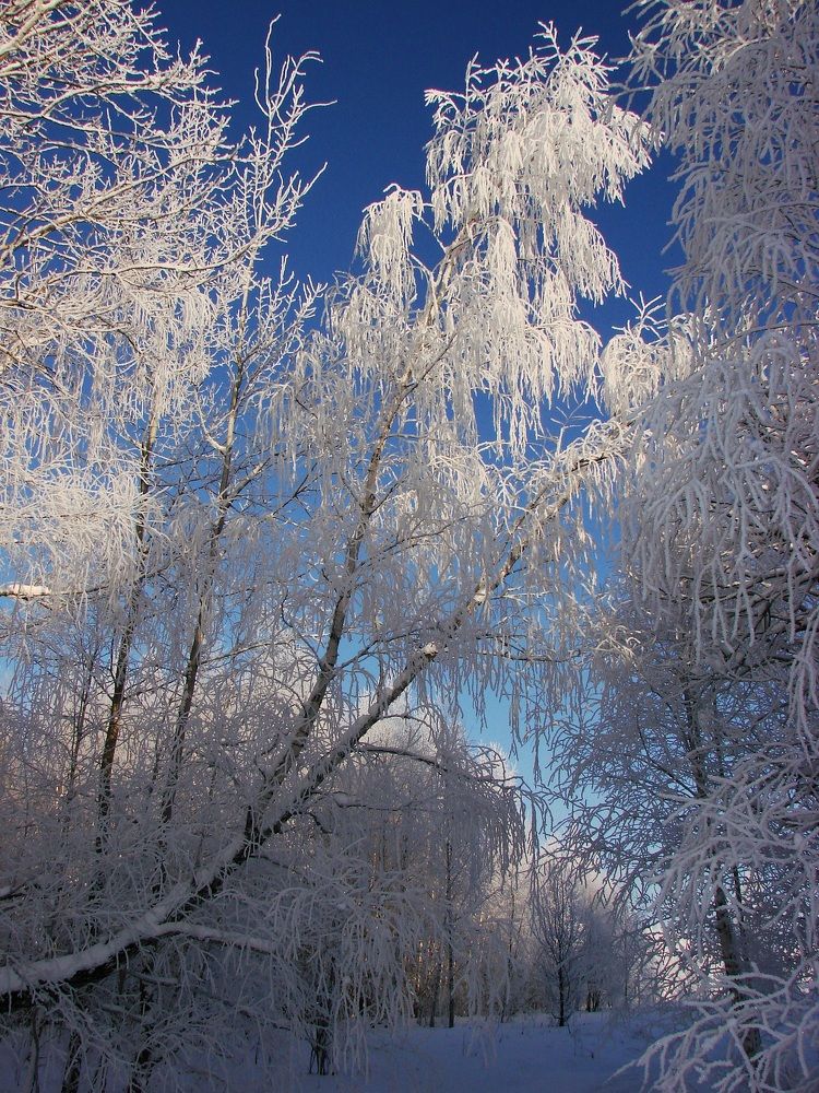 Photograph by Владимир Кирсанов
