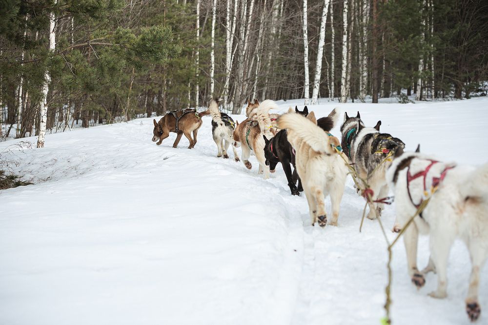 Photograph by Ivan Osipov