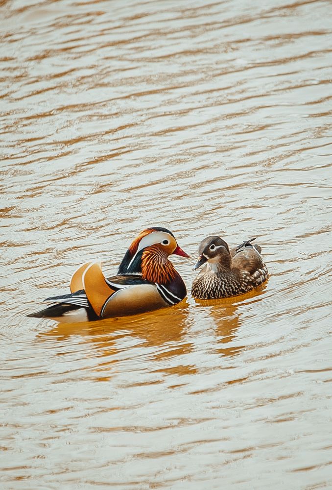 Photograph by Александра Безродная