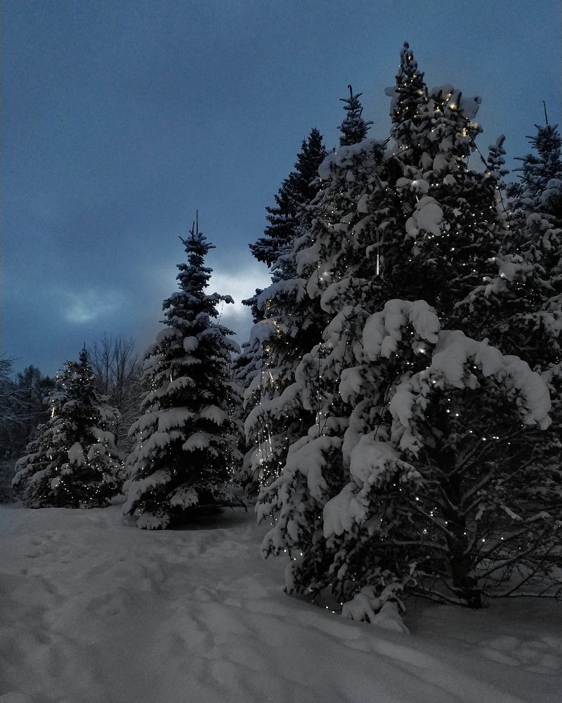 Photograph by Elena Naprimerova