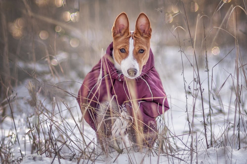 Photograph by Яна Кудлай