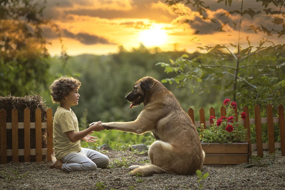 Photograph by Екатерина Науменко