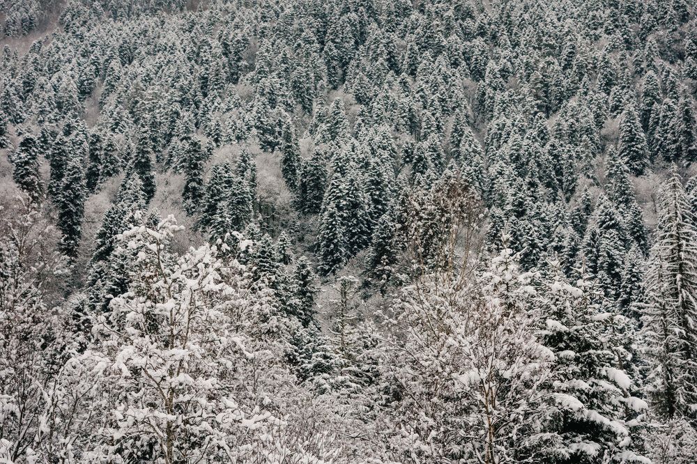Photograph by Светлана Калагина