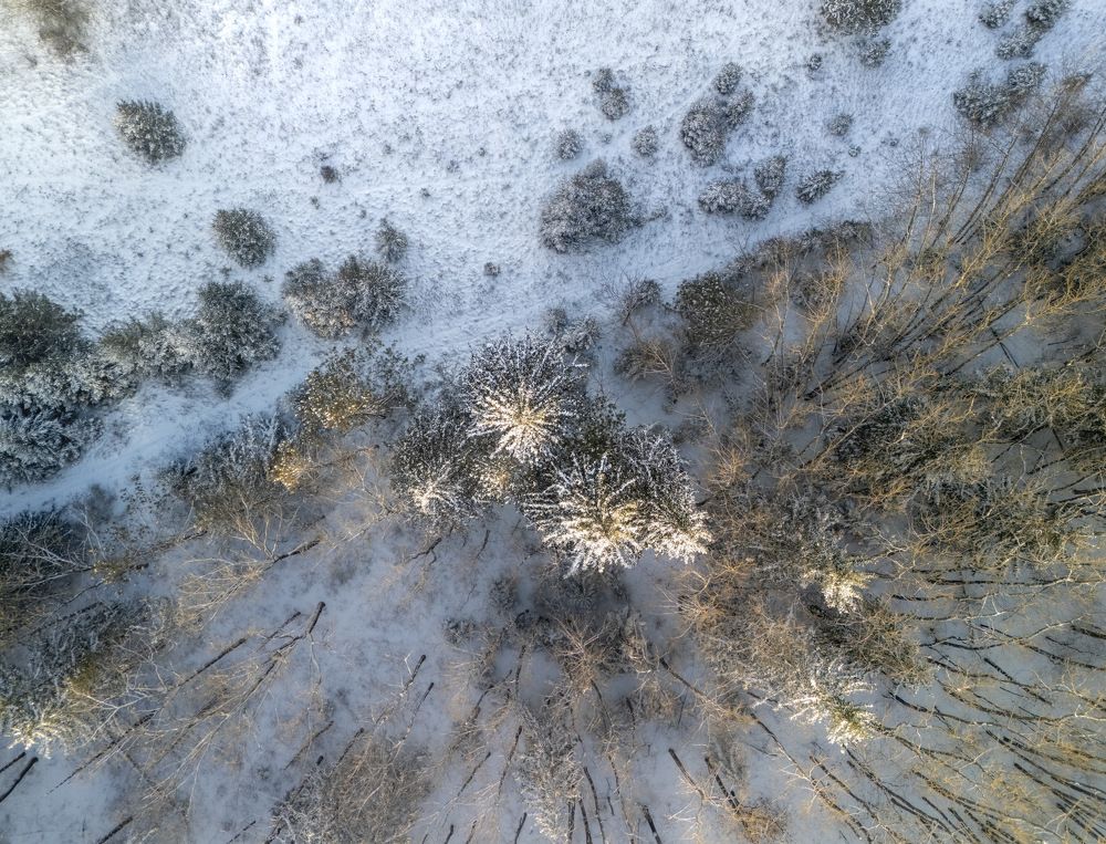 Фотография автора Jay Mason