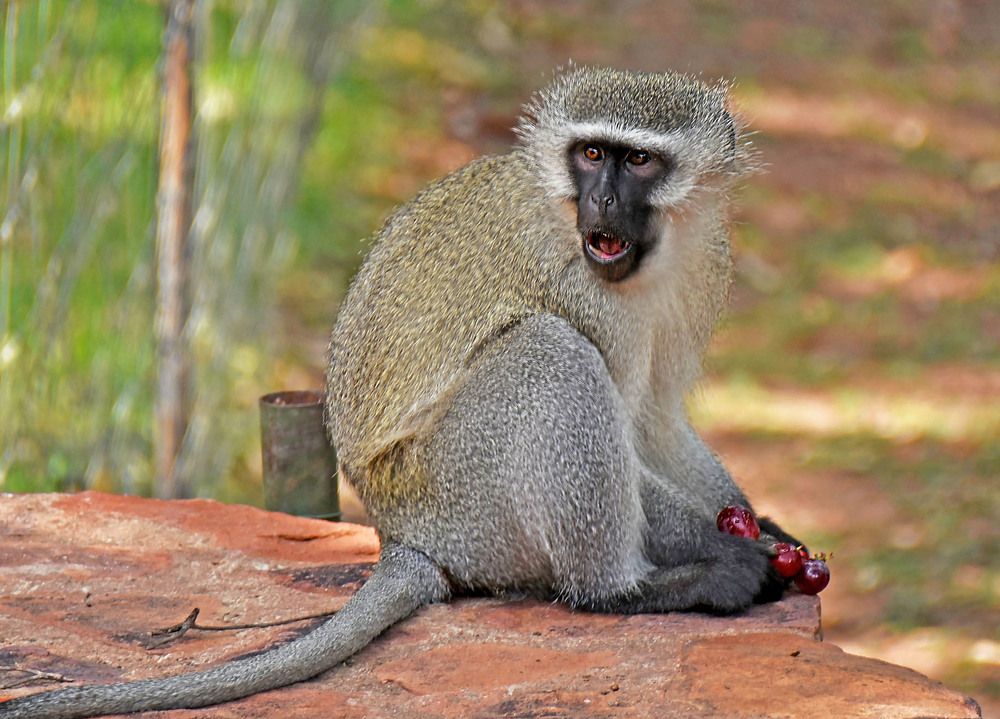 Photograph by Marjo Steffen