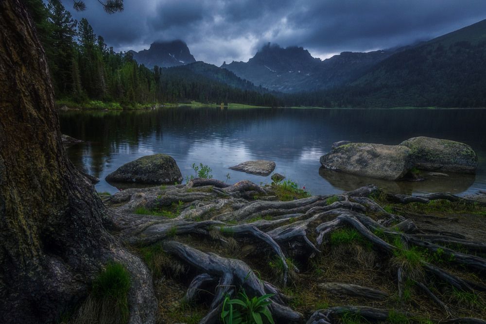 Photograph by Алексей Кретов