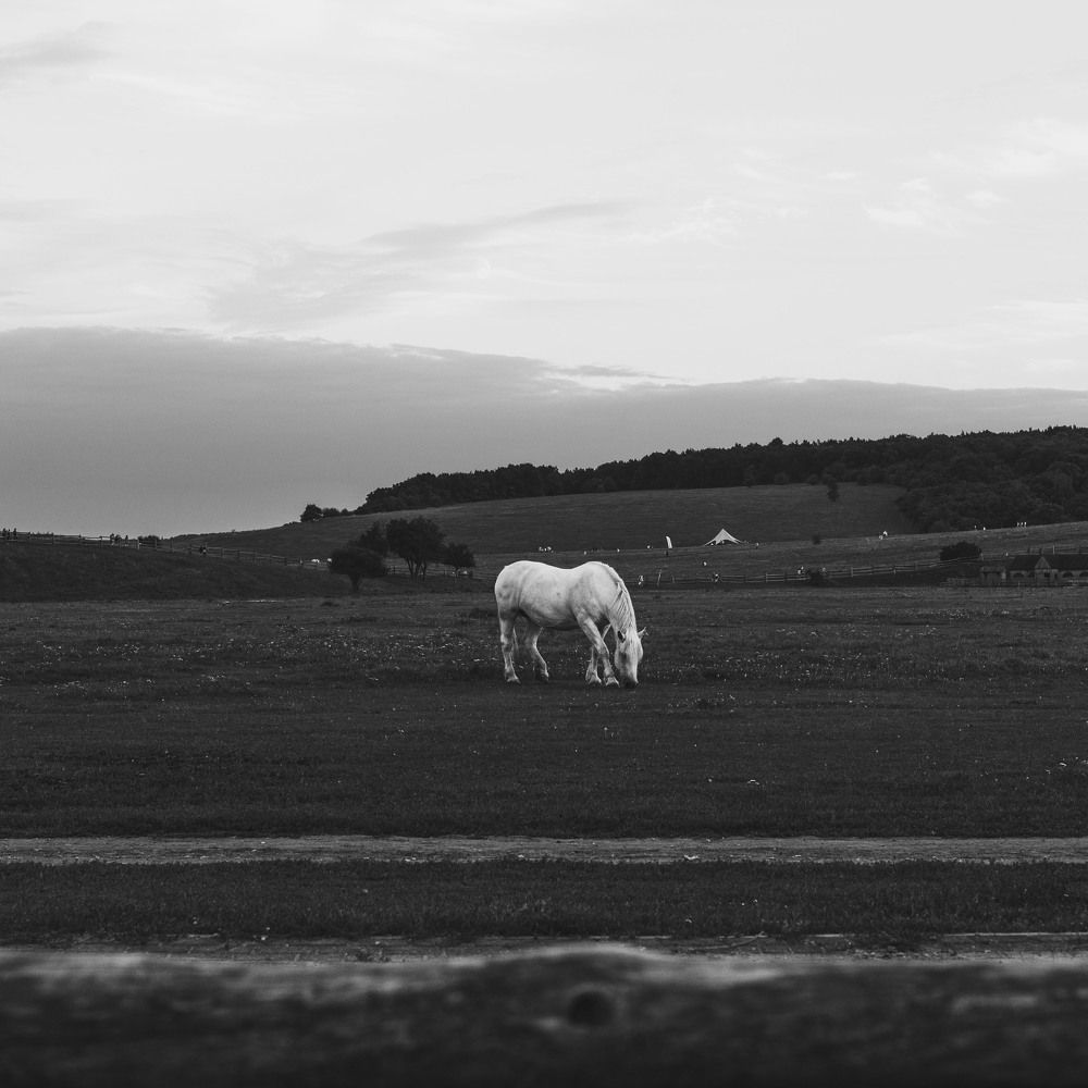 Photograph by Светлана Калагина