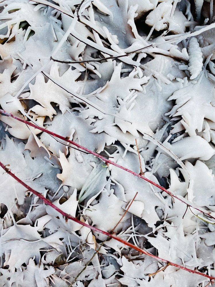 Фотография автора Olga Andriuc