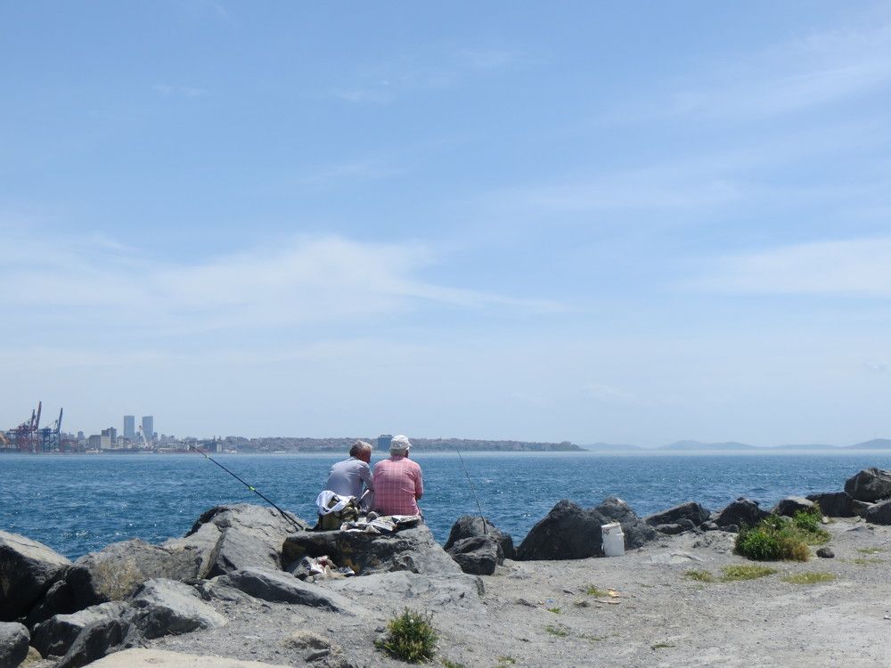 Photograph by Татьяна Поминова