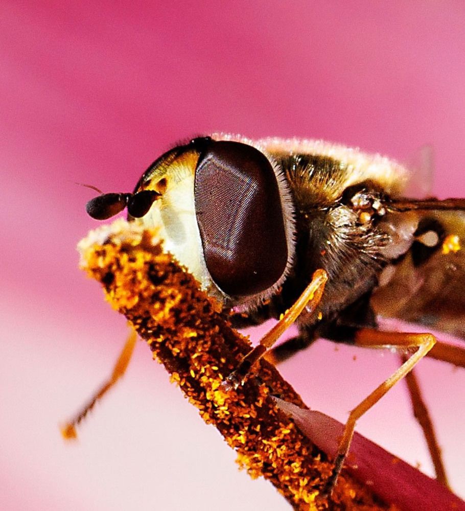 Photograph by Ольга Чибисова