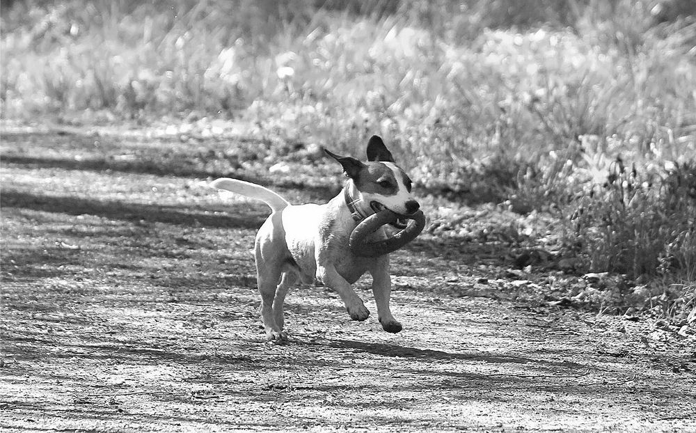 Photograph by Татьяна Слесарева