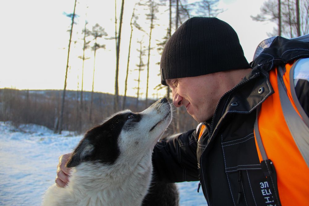 Photograph by Михаил Мархинин