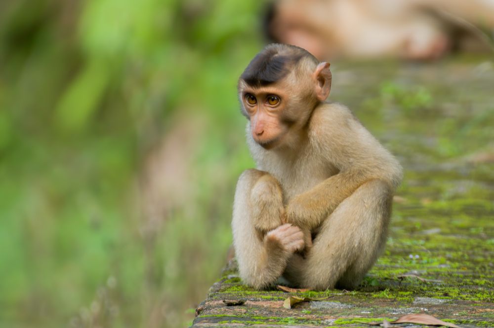 Photograph by Livines Annamalai