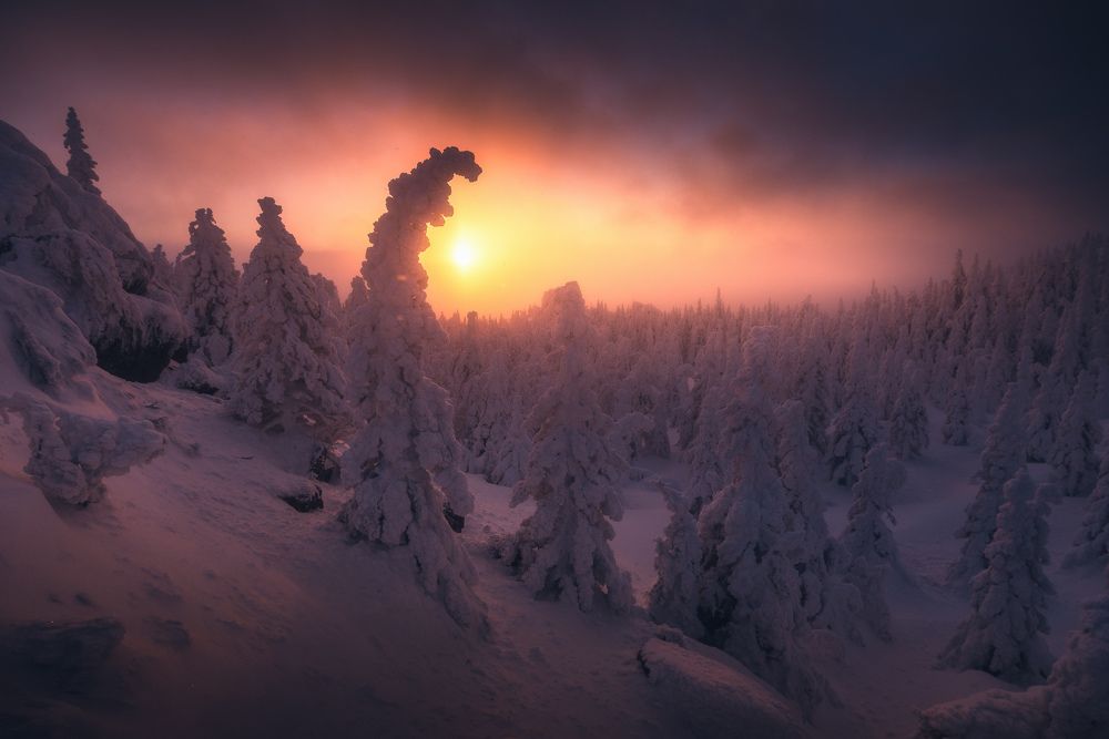 Photograph by Силантьев Даниил