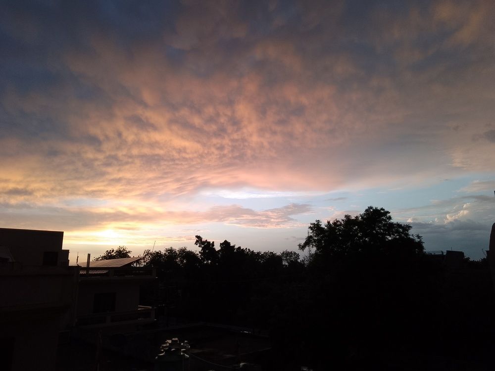 Photograph by Nisha