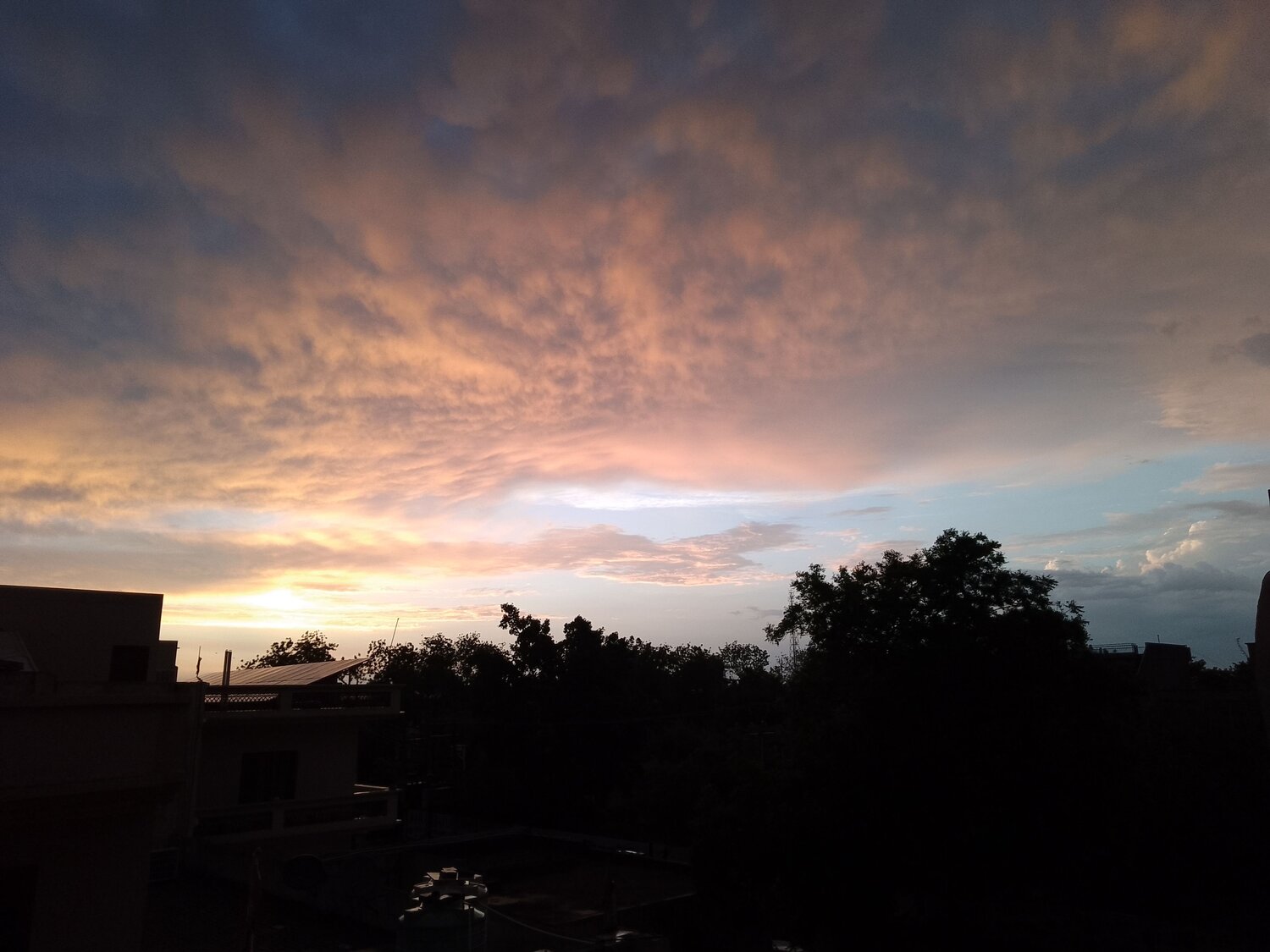 Photo #11732548