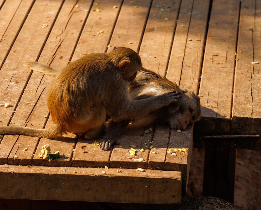 Photograph by Федор Гурьев