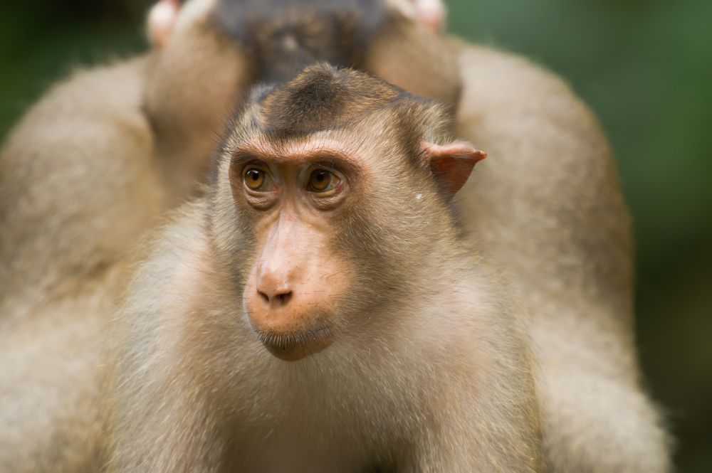 Photograph by Livines Annamalai