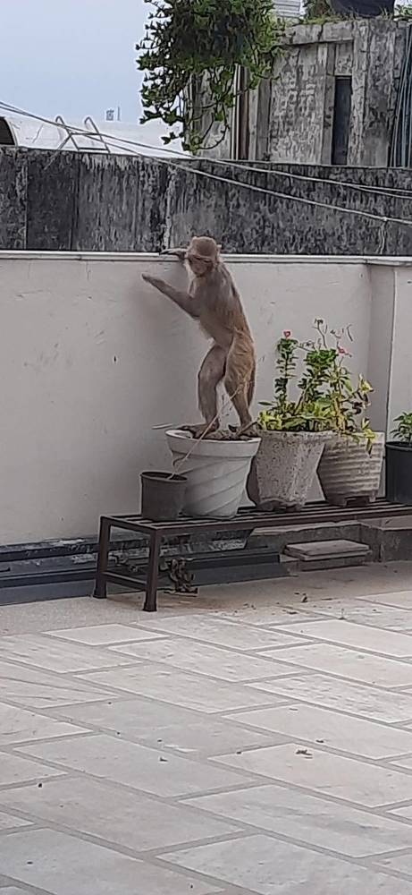 Photograph by Khushi Vashisth